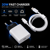 20W Fast Charger Product